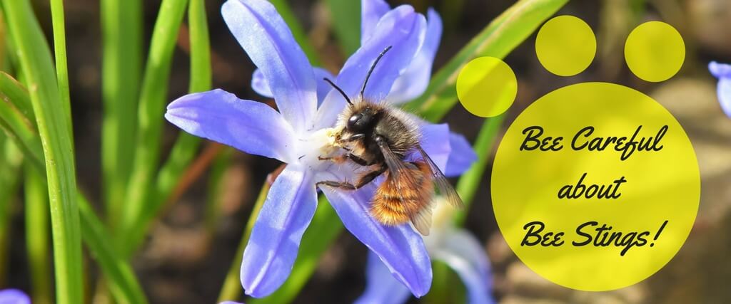 Bumblebees Bite Plants to Force Them to Flower (Seriously)