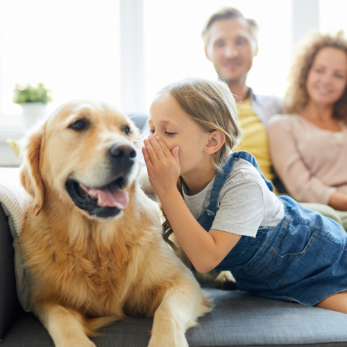 girl with dog girl with a dog