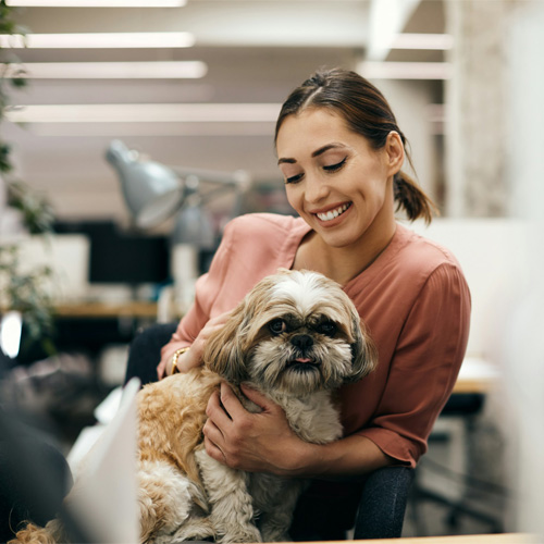 A-girl-holding-a-brown-and-white-dog-on-her-lap A girl holding a brown and white dog on her lap.