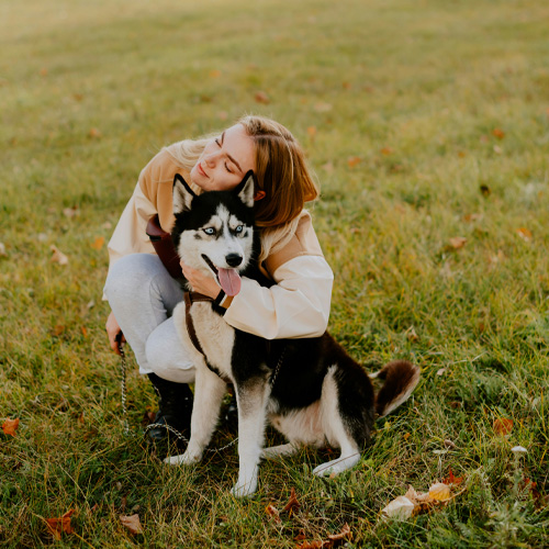 A-girl-hugging-a-black-and-white-husky A girl hugging a black and white husky.