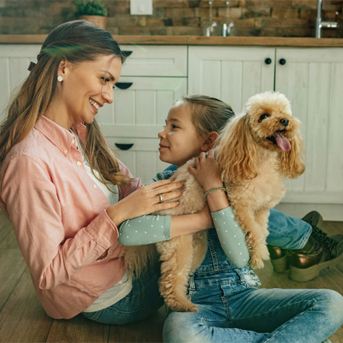 A-lady-and-her-daughter-and-their-dog-on-her-daughters-lap A lady and her daughter and their dog on her daughters lap.