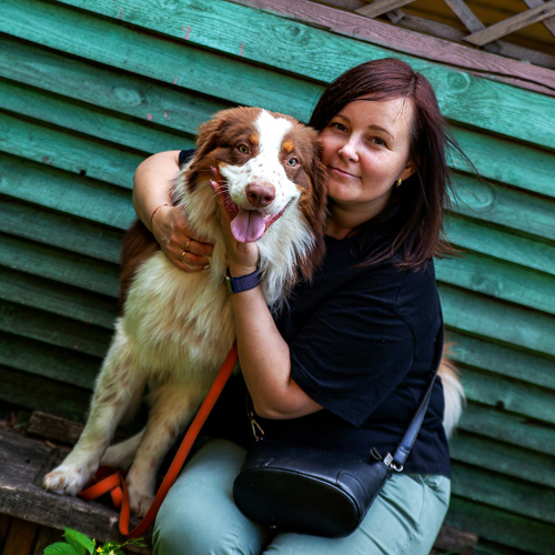 A-ruby-and-white-color-dog-being-hugged-by-a-lady A ruby and white color dog being hugged by a lady.