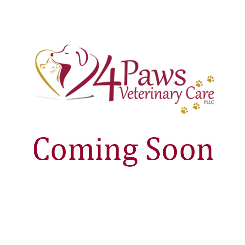 Coming-soon Trinket Donahue DVM