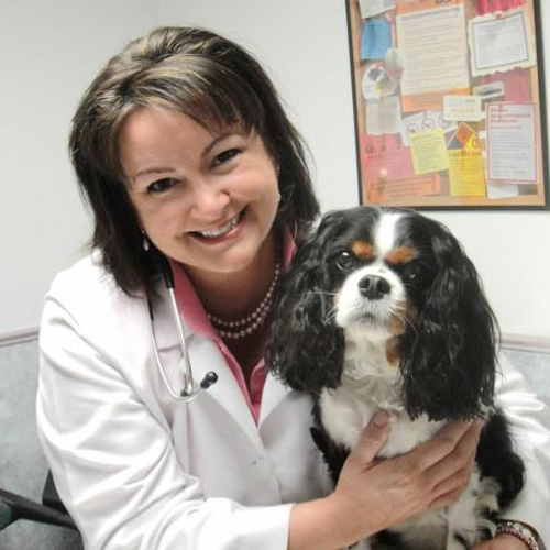 Dr-wiggins Dr. Lisa M. Wiggins Sebesta, Medical Director, Owner